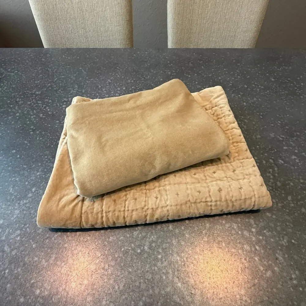Two Pottery Barn Velvet Pillow Covers 20